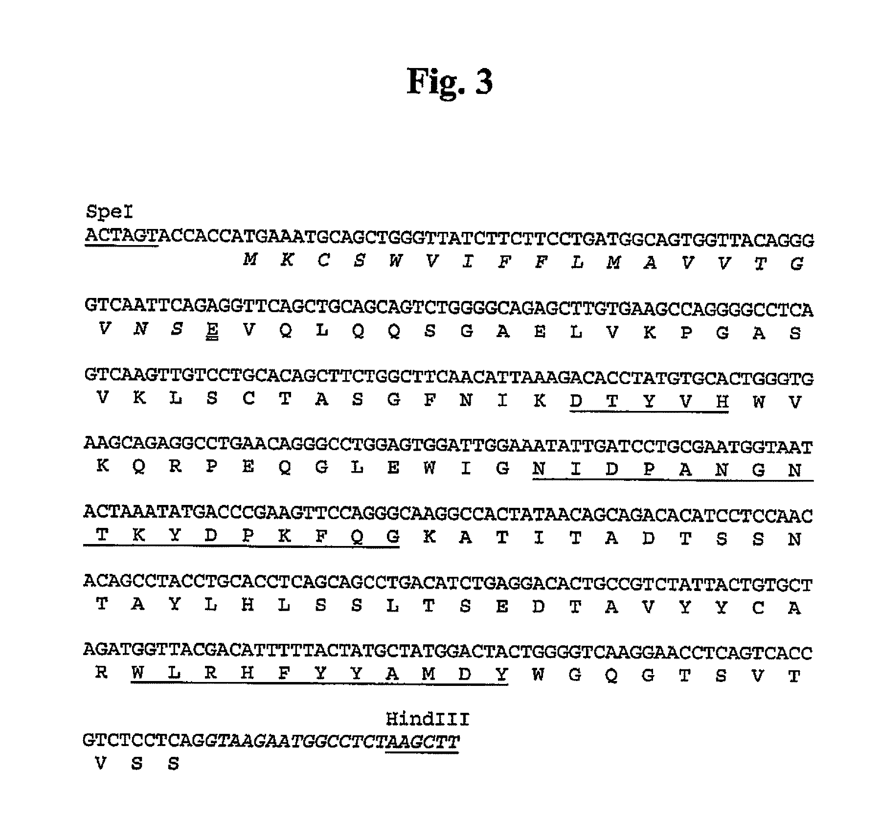 Humanized Anti-alpha 9 integrin antibodies and the uses thereof