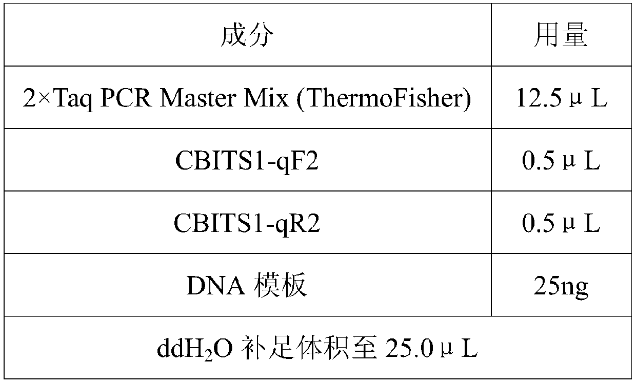 Traditional Chinese medicine bulbus fritillariae cirrhosae DNA extraction reagent and extraction method
