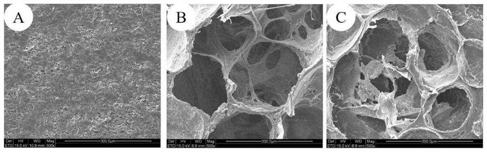 Preparation method and application of extracellular matrix scaffold with controllable pore structure
