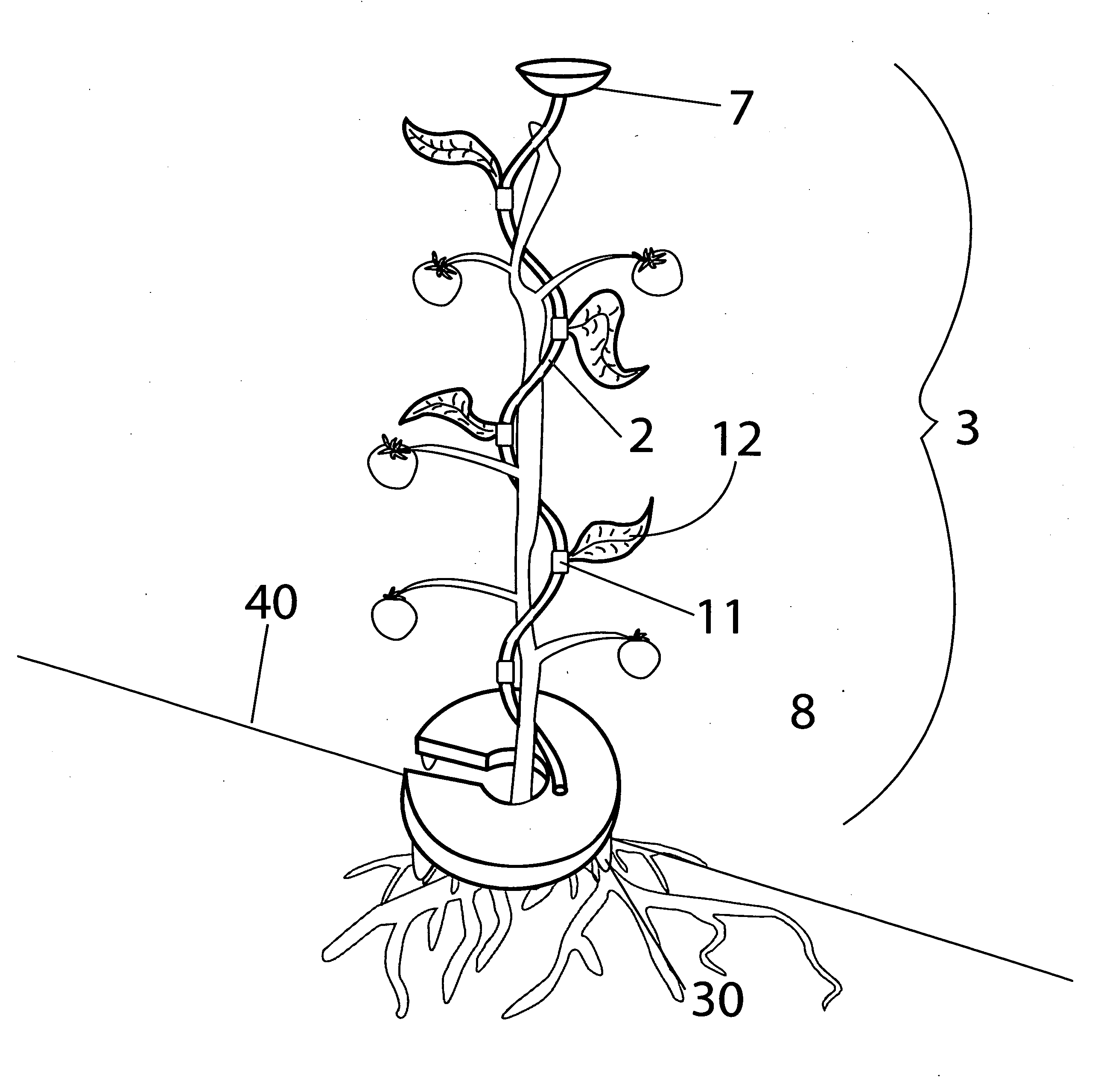 Plant support and water displacement apparatus