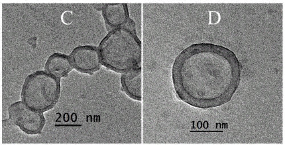 Method for preparing antioxidant coated polymer nano-vesicle