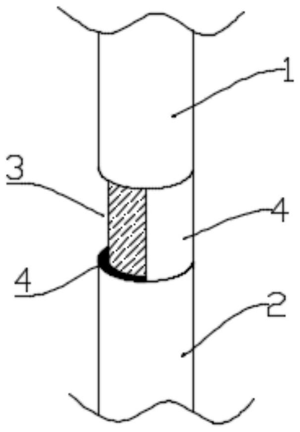 Two-stage seedling raising method for improving survival rate of Erythropalum scandens cutting seedlings