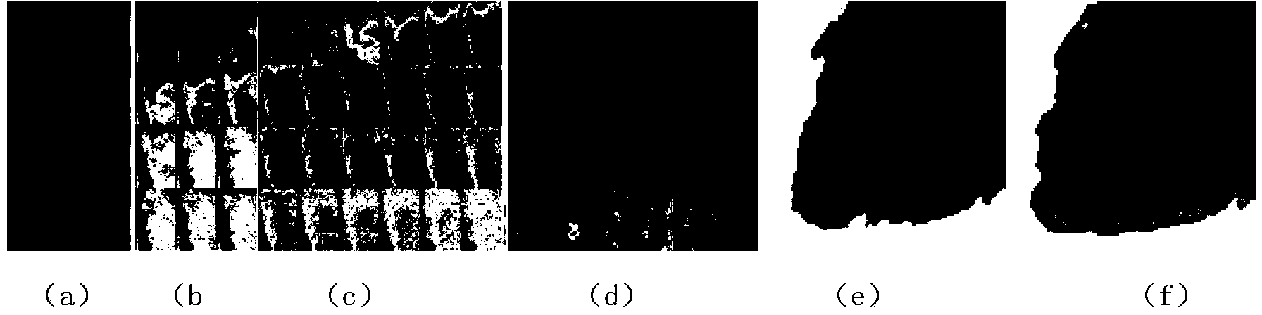 Method and device for measuring or monitoring tissue or cell transmembrane potential changes