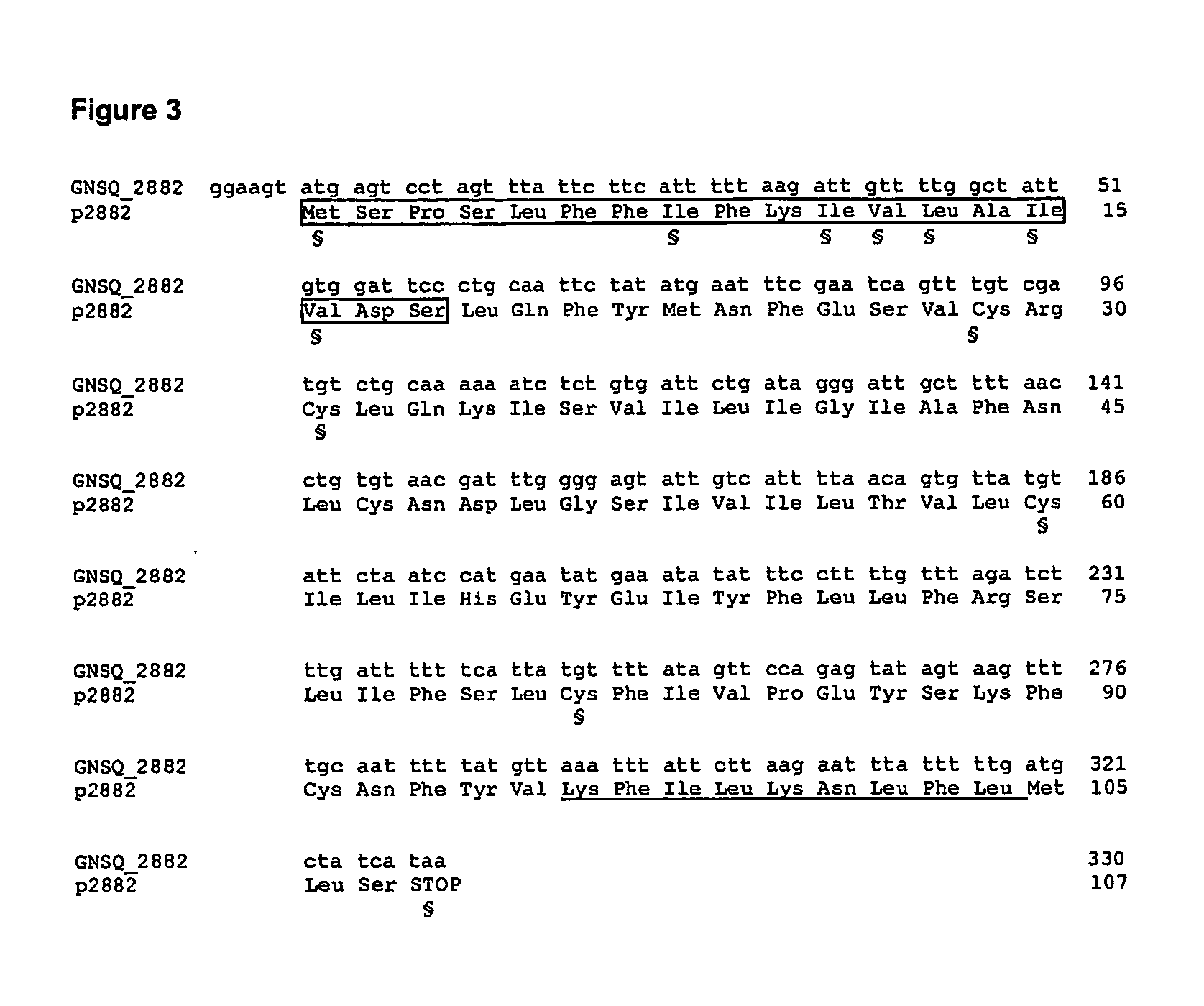 Novel chemokine-like polypeptides