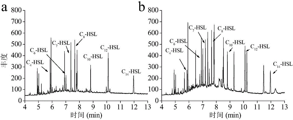 Method for extracting, purifying and detecting acyl-homoserine lactones in soil and application thereof