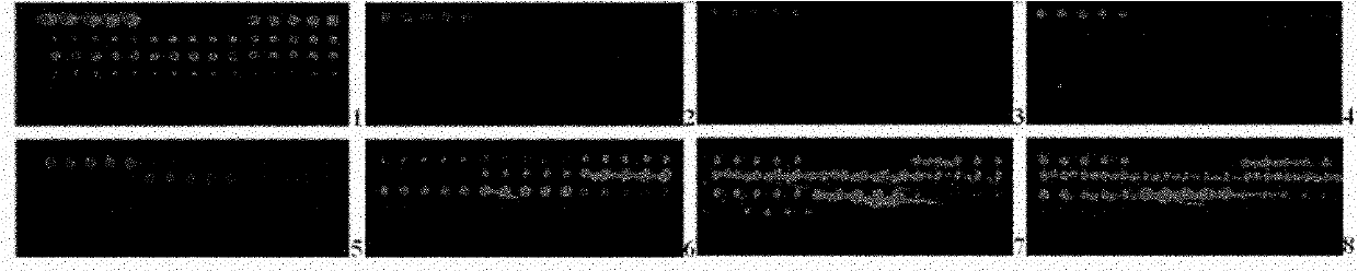 Protein combination for diagnosing Q fever