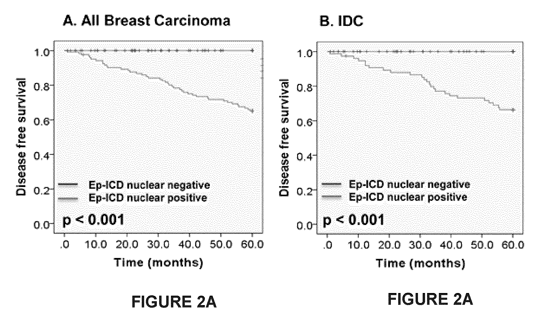 Methods for the Prognosis of Breast Cancer