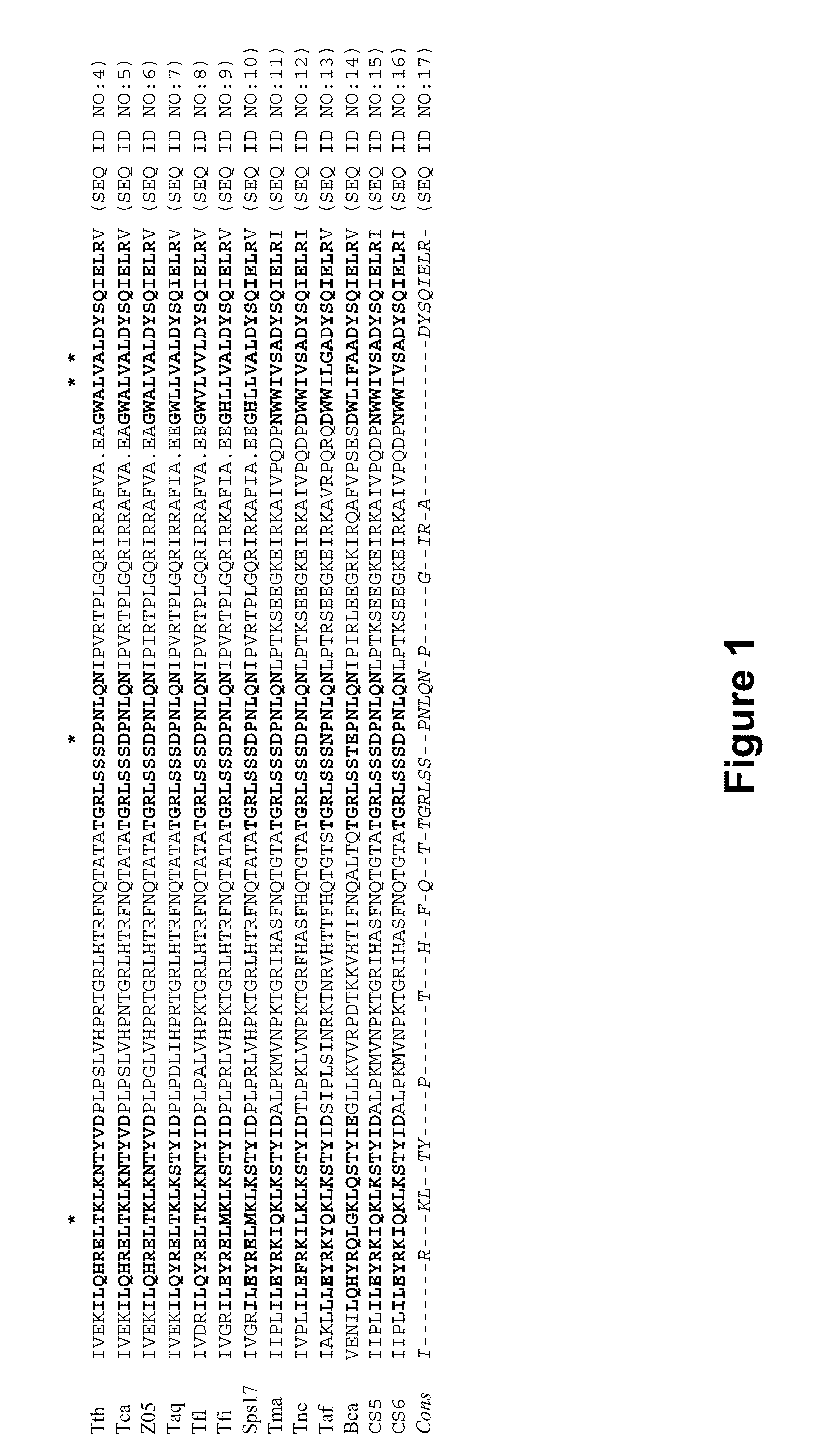 DNA polymerases and related methods