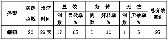 Epilepsy treatment drug and preparation method thereof