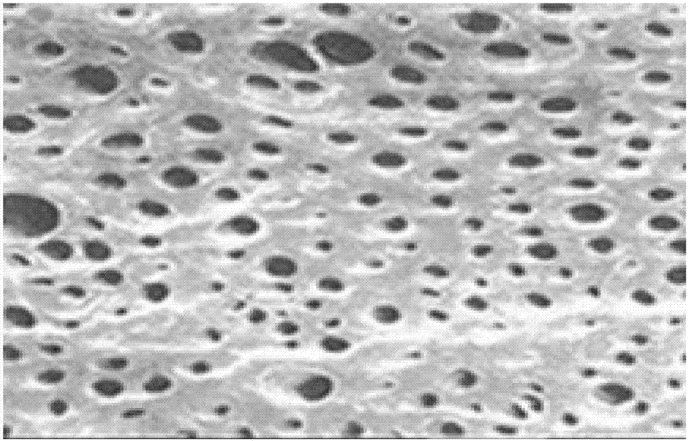 A kind of double anti-dentin hypersensitivity composition and its application