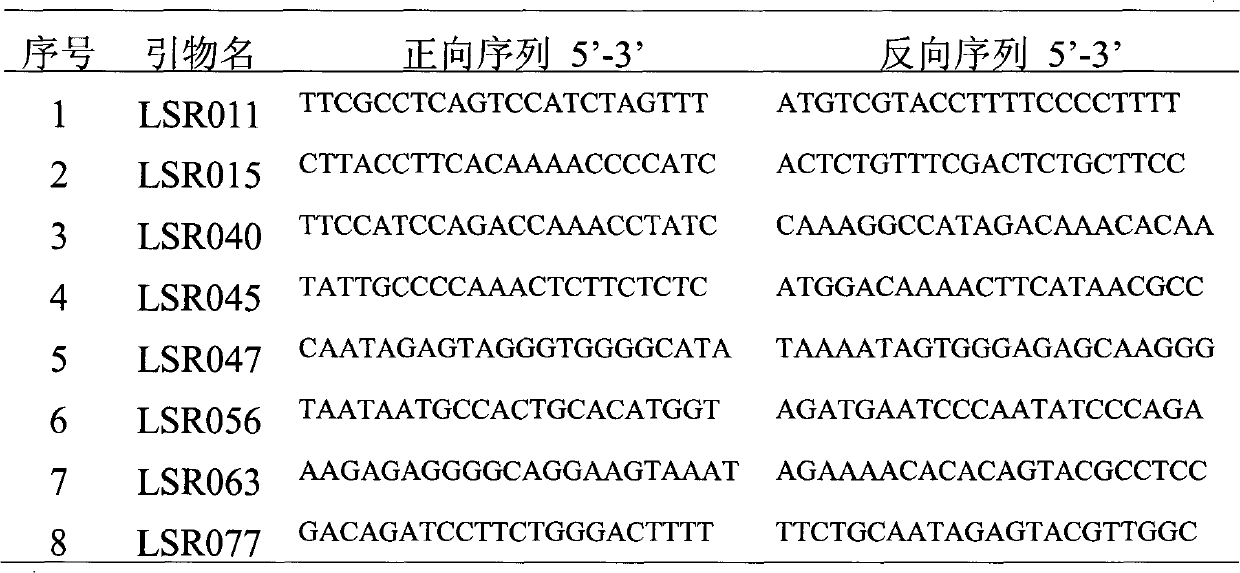 Method for quickly detecting purity of seeds of bottle gourd varieties and kit used by same