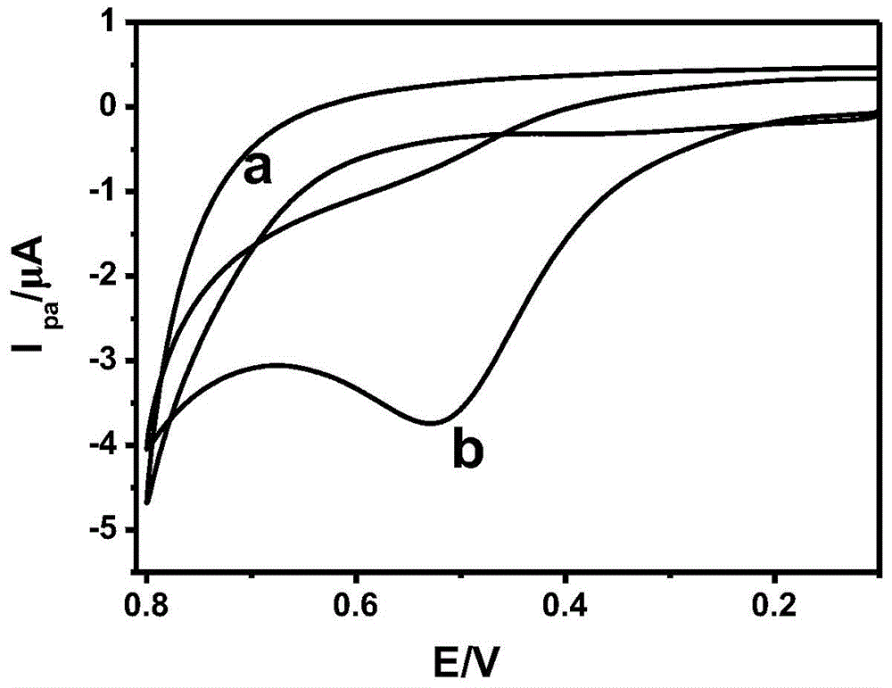 A kind of screen printing electrode for detecting uric acid and preparation method thereof