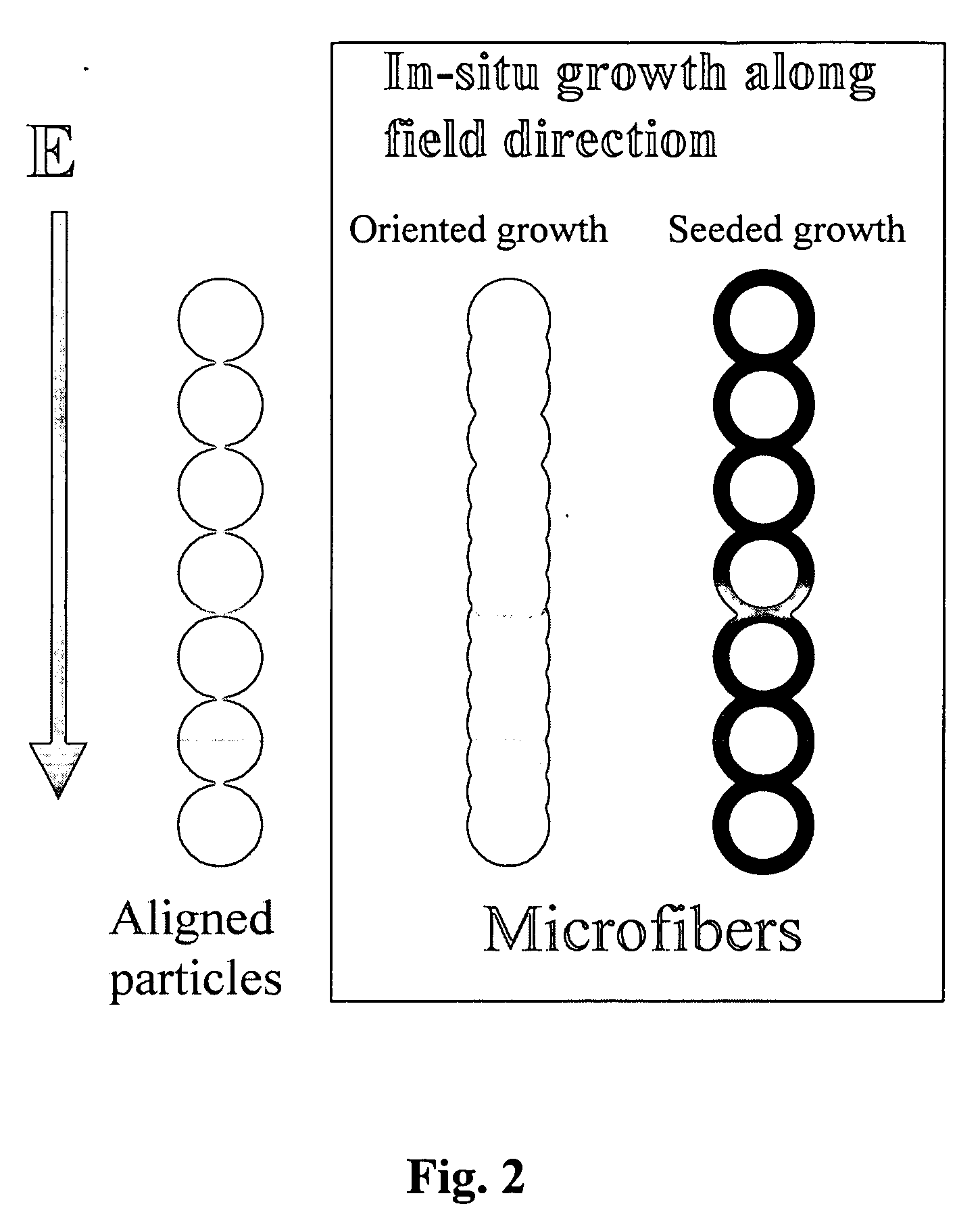 Production of aligned microfibers and nanofibers and derived functional monoliths