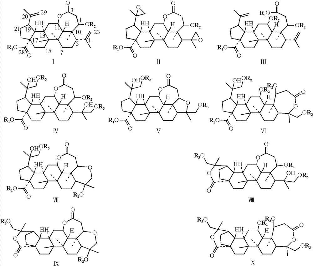 Cracked-ring lupane derivatives and pharmaceutical application thereof