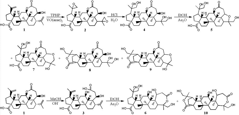 Cracked-ring lupane derivatives and pharmaceutical application thereof