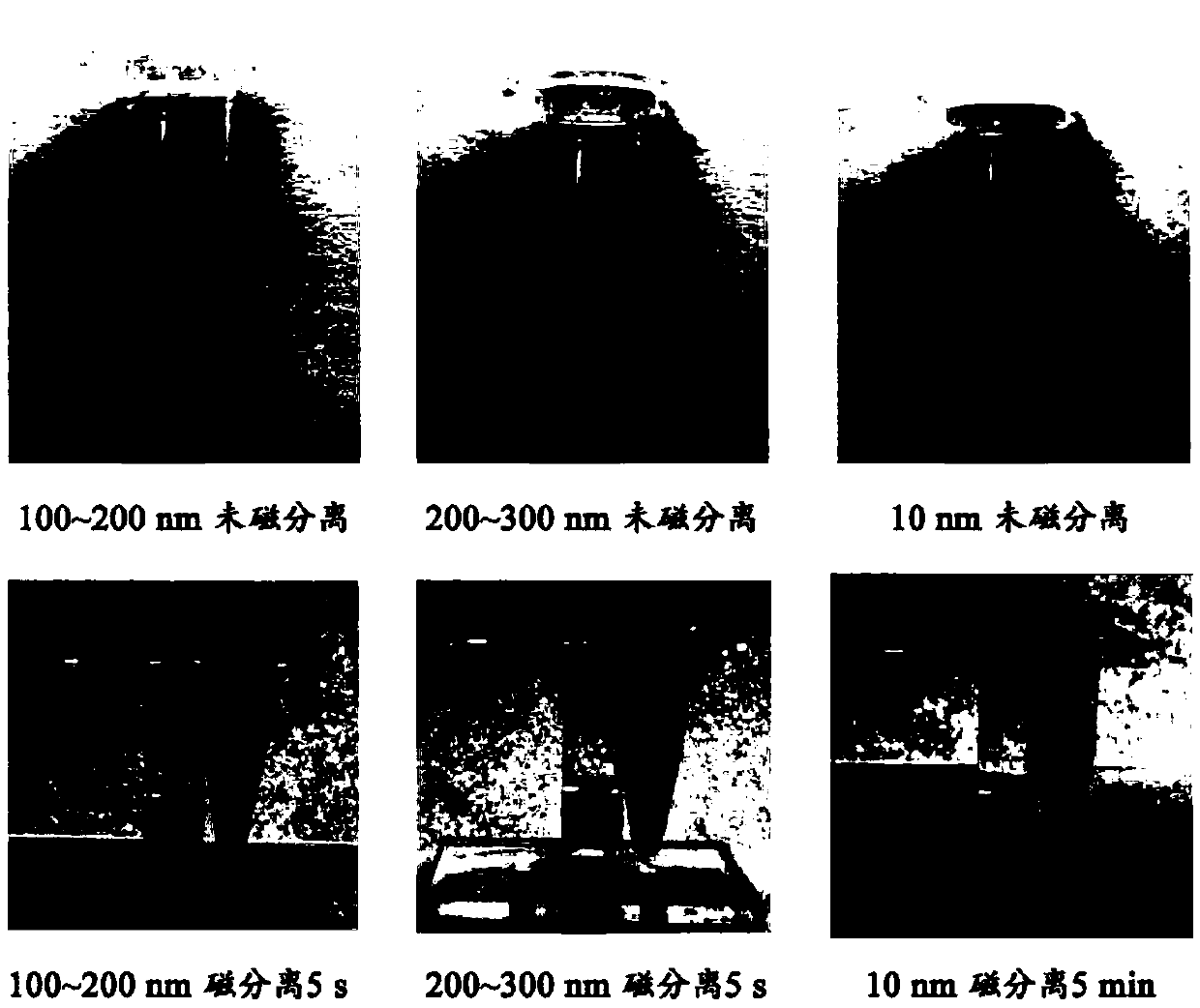 A rapid detection method for Salmonella typhimurium based on the photothermal effect of immunomagnetic nanomaterials