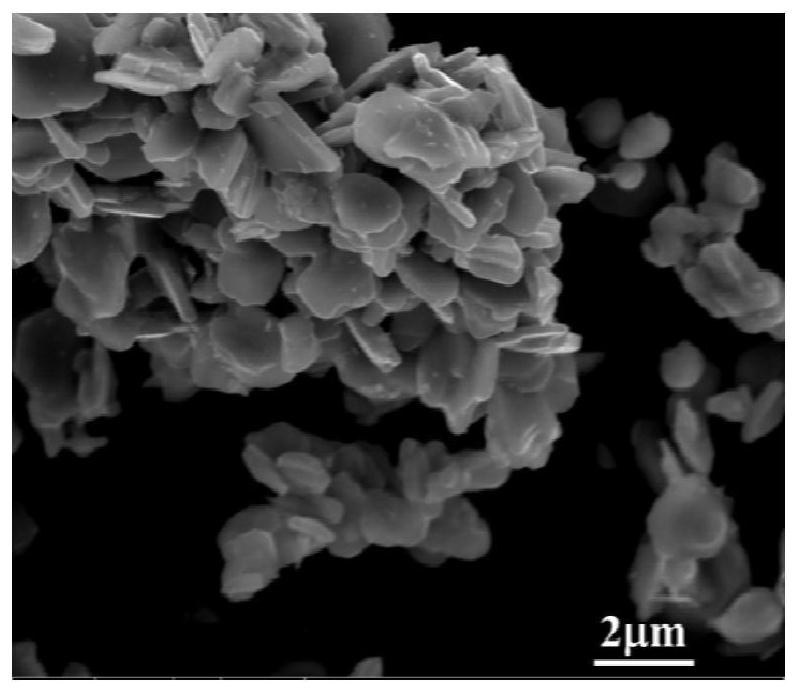Method for preparing high-activity titanium boride ceramic powder through low-temperature microwave carbon thermal reduction