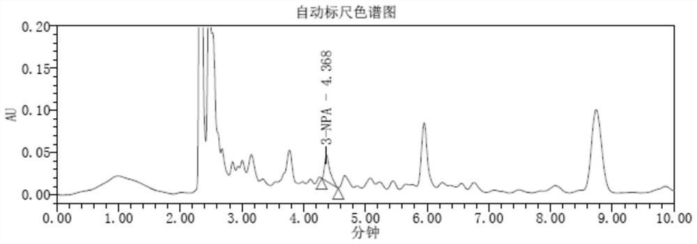 Arthrinium fungus strain and application thereof