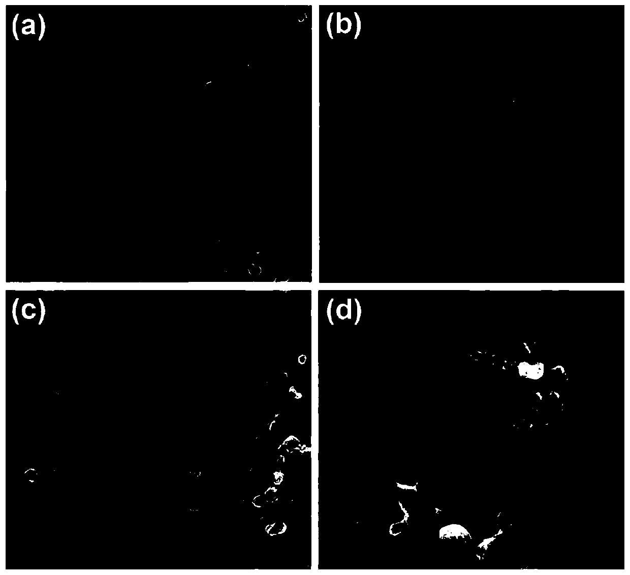 preparing-method-for-carbon-nanotube-reinforced-copper-based-composite