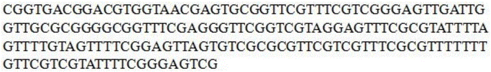 SFRP1 gene promoter methylation detection primers and detection method thereof