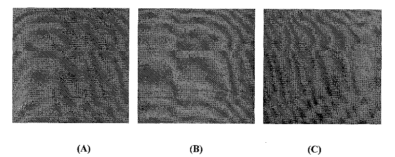 Preparation method of phosphoric acid-doped sulfonated polymer composite membrane with self-assembled structure