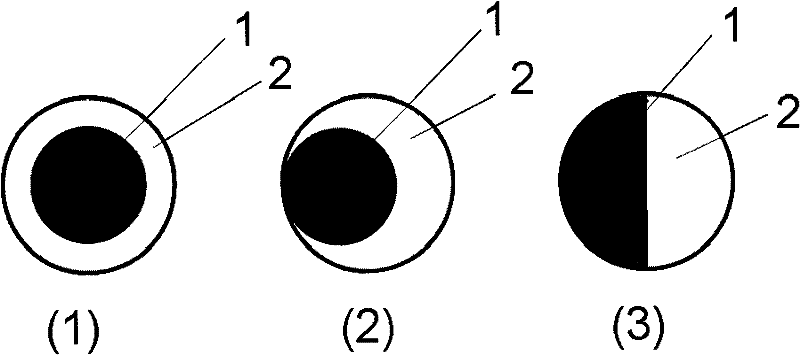 Heat-storage and thermo-regulated fiber