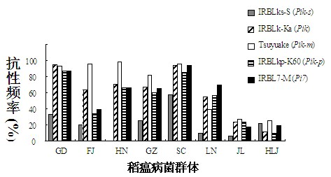 Rice blast resistance gene Pi7 and application thereof
