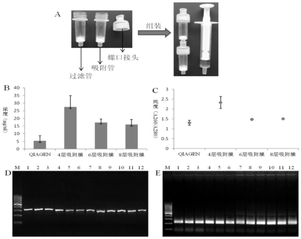 RPA primer and probe combination for detecting transgenic soybean SHZD32-1 and on-site rapid detection method