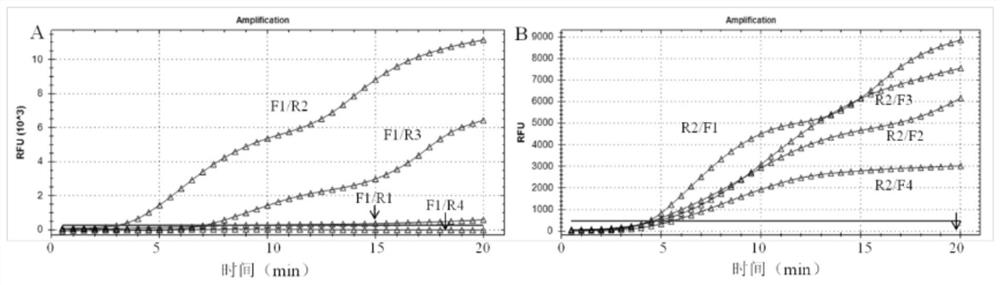 RPA primer and probe combination for detecting transgenic soybean SHZD32-1 and on-site rapid detection method