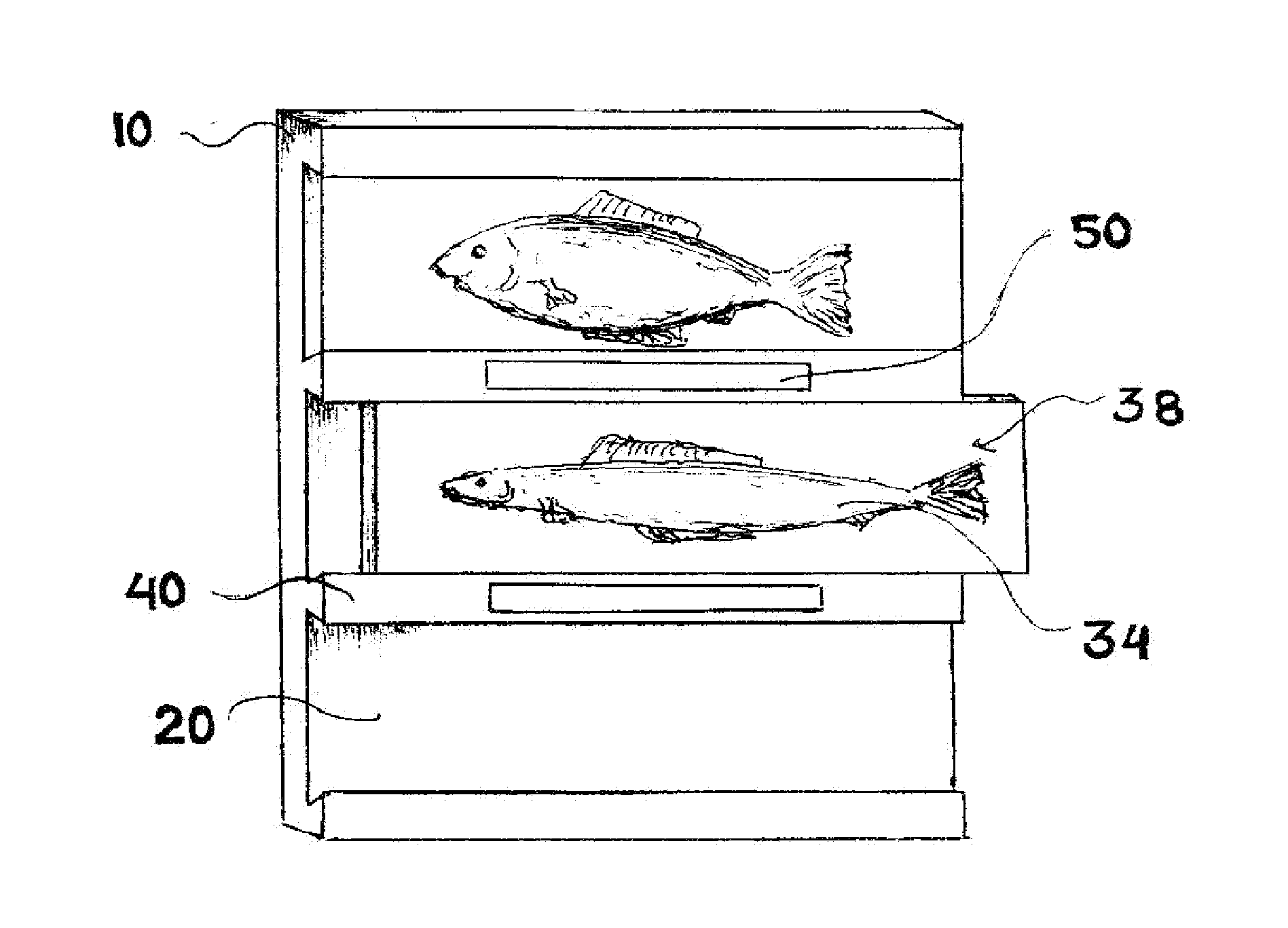 Scale Model Wildlife Trophy Display System