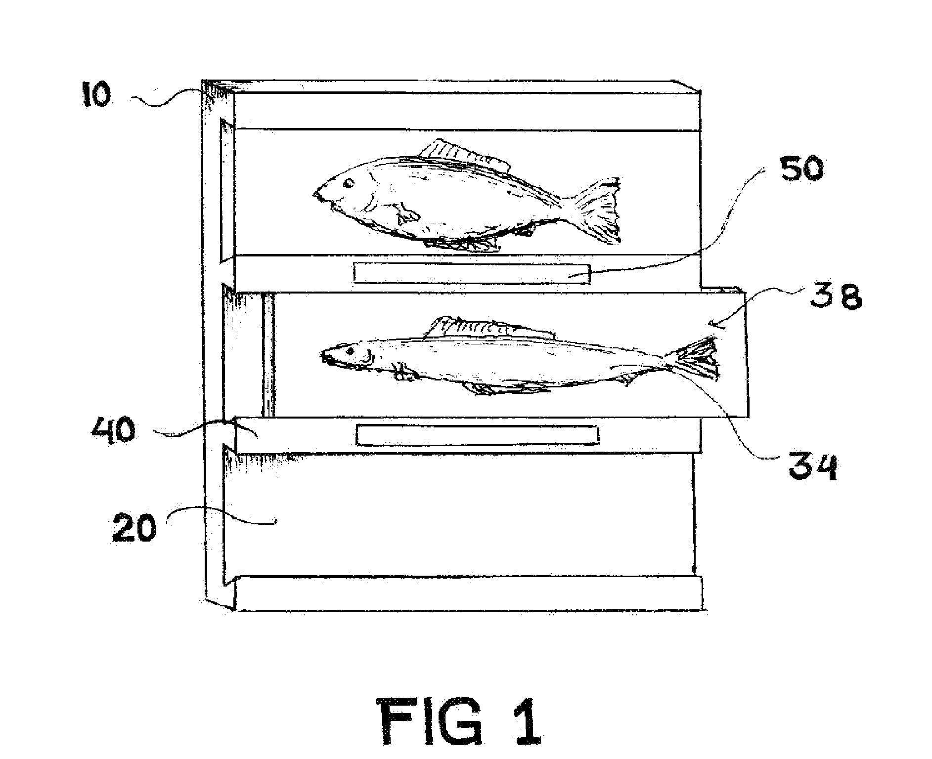 Scale Model Wildlife Trophy Display System