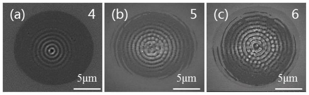 A method for preparing submicron concentric rings on silicon surface by femtosecond laser