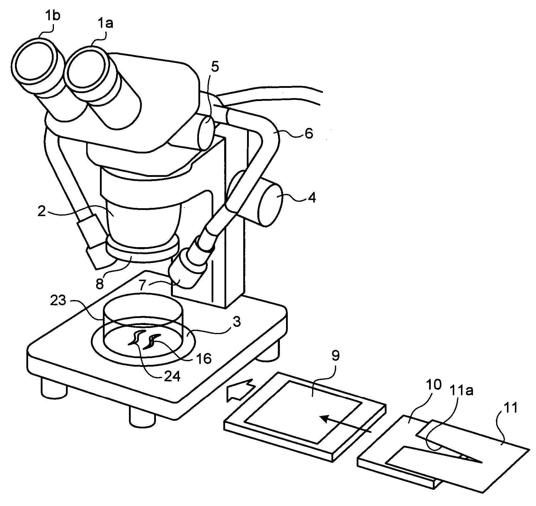 Microscope apparatus