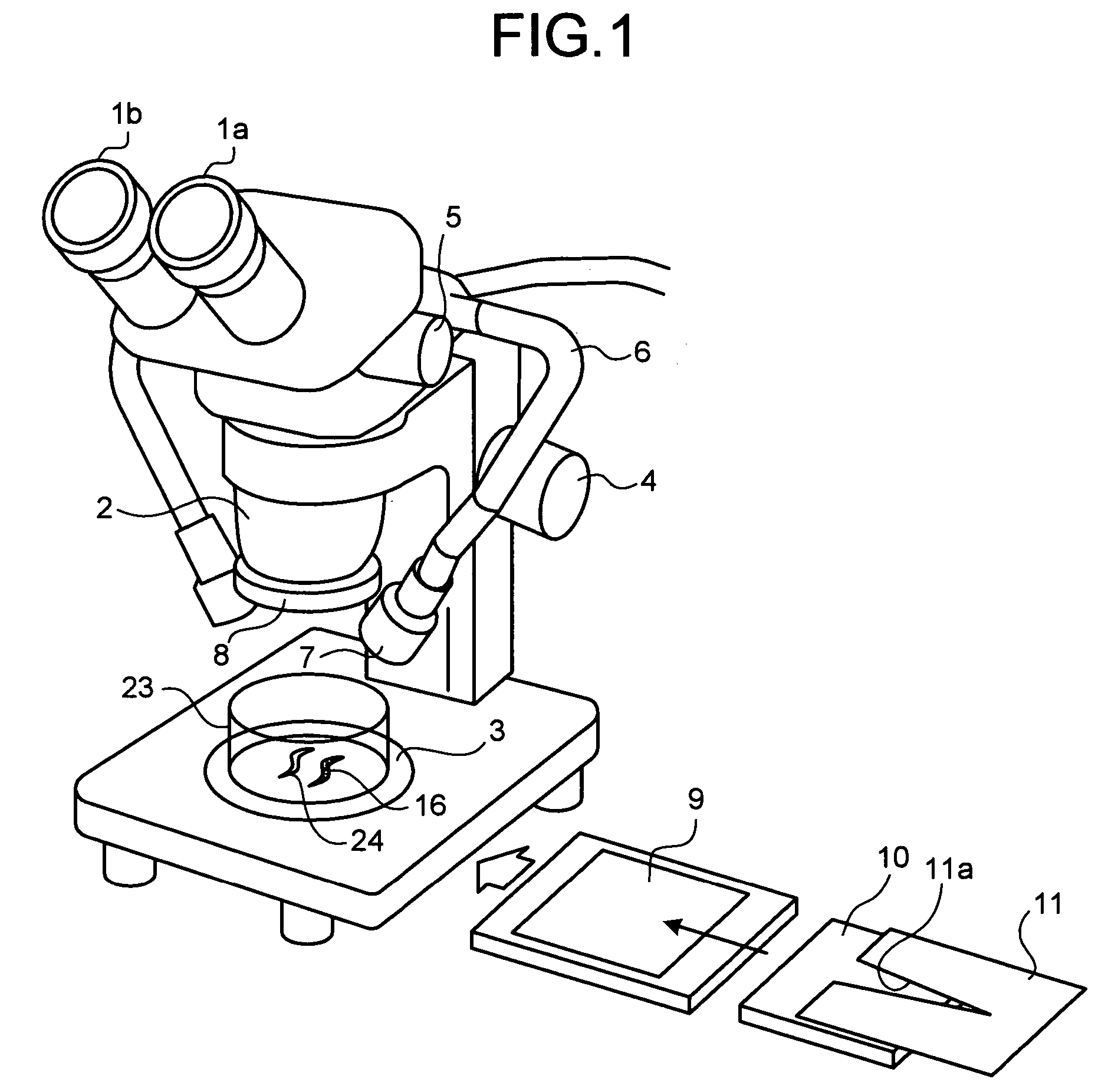 Microscope apparatus