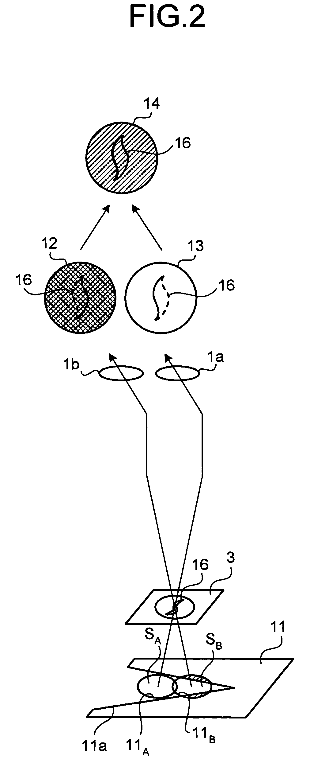 Microscope apparatus