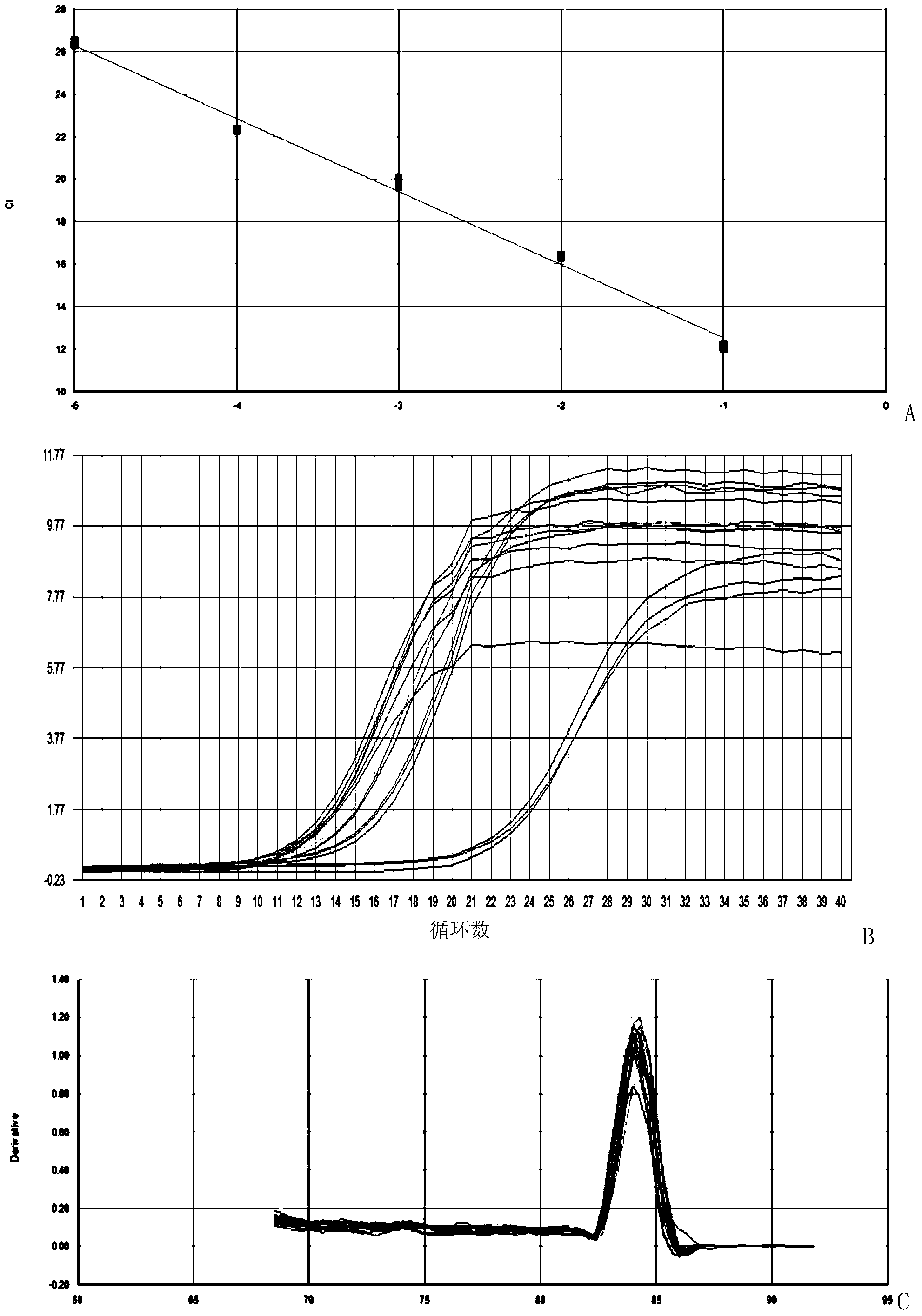 dsRNA (double-stranded ribonucleic acid) for inhibiting expression of wheat aphid cytochrome c oxidase viic subunit gene and application thereof