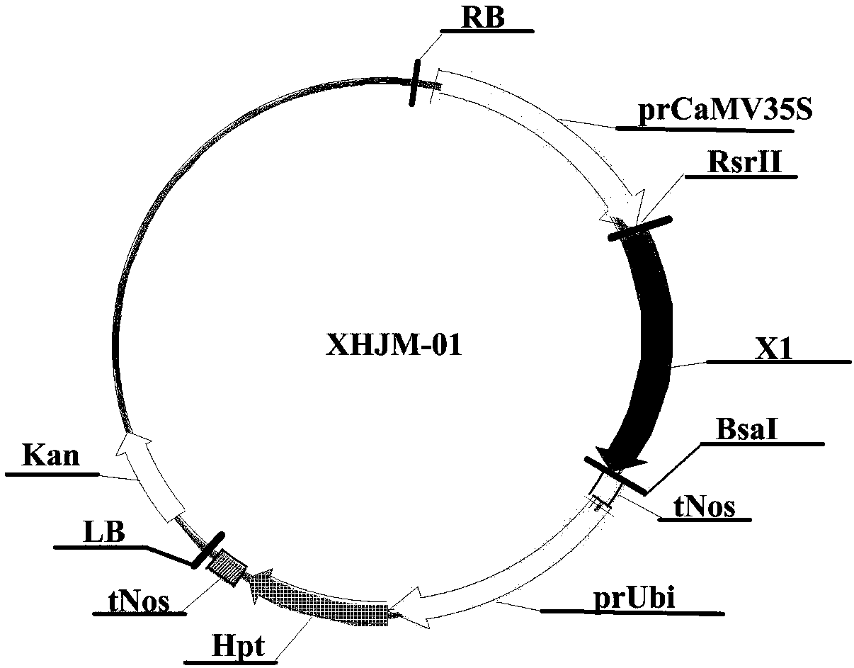 A pesticide composition and a preparing method thereof