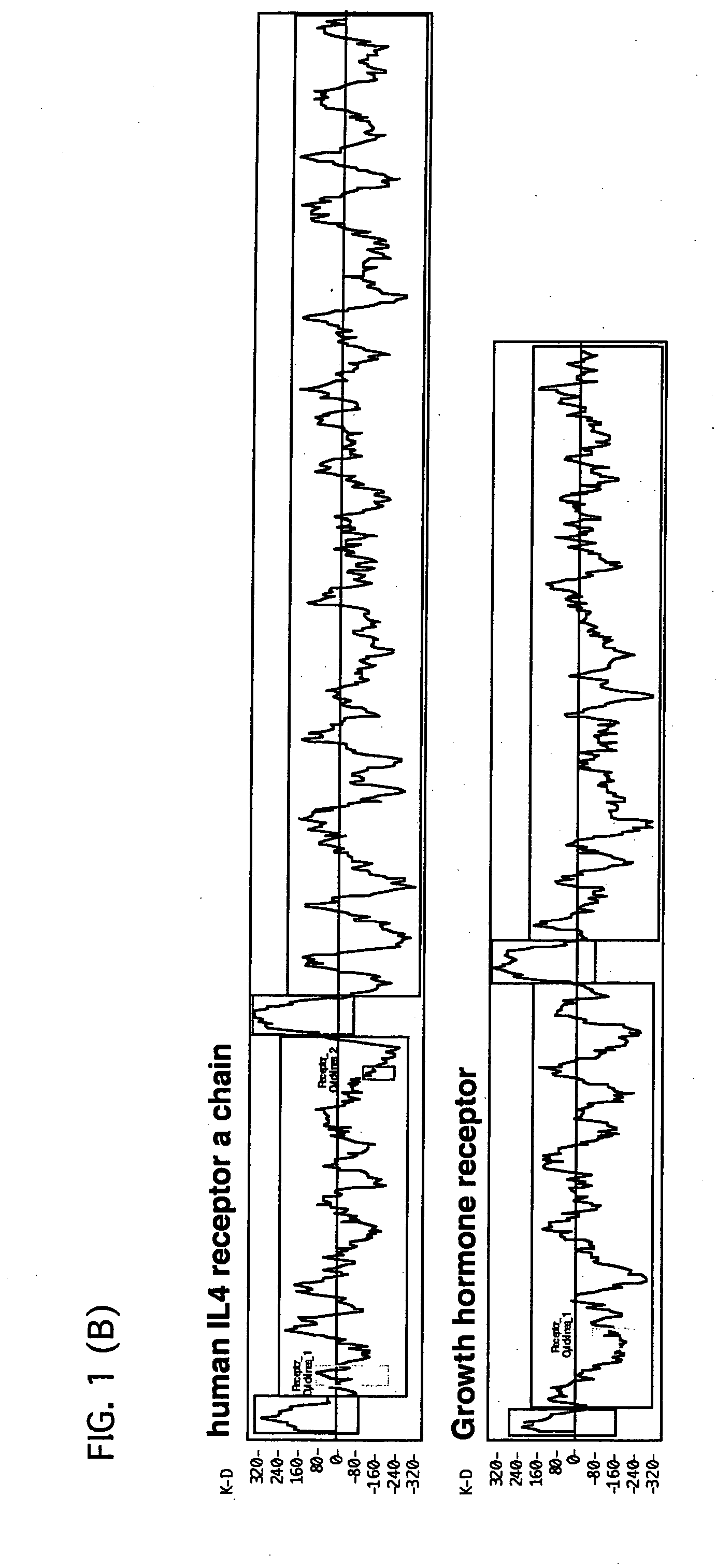 Human-derived bradeion proteins, DNA coding for the proteins, and uses thereof
