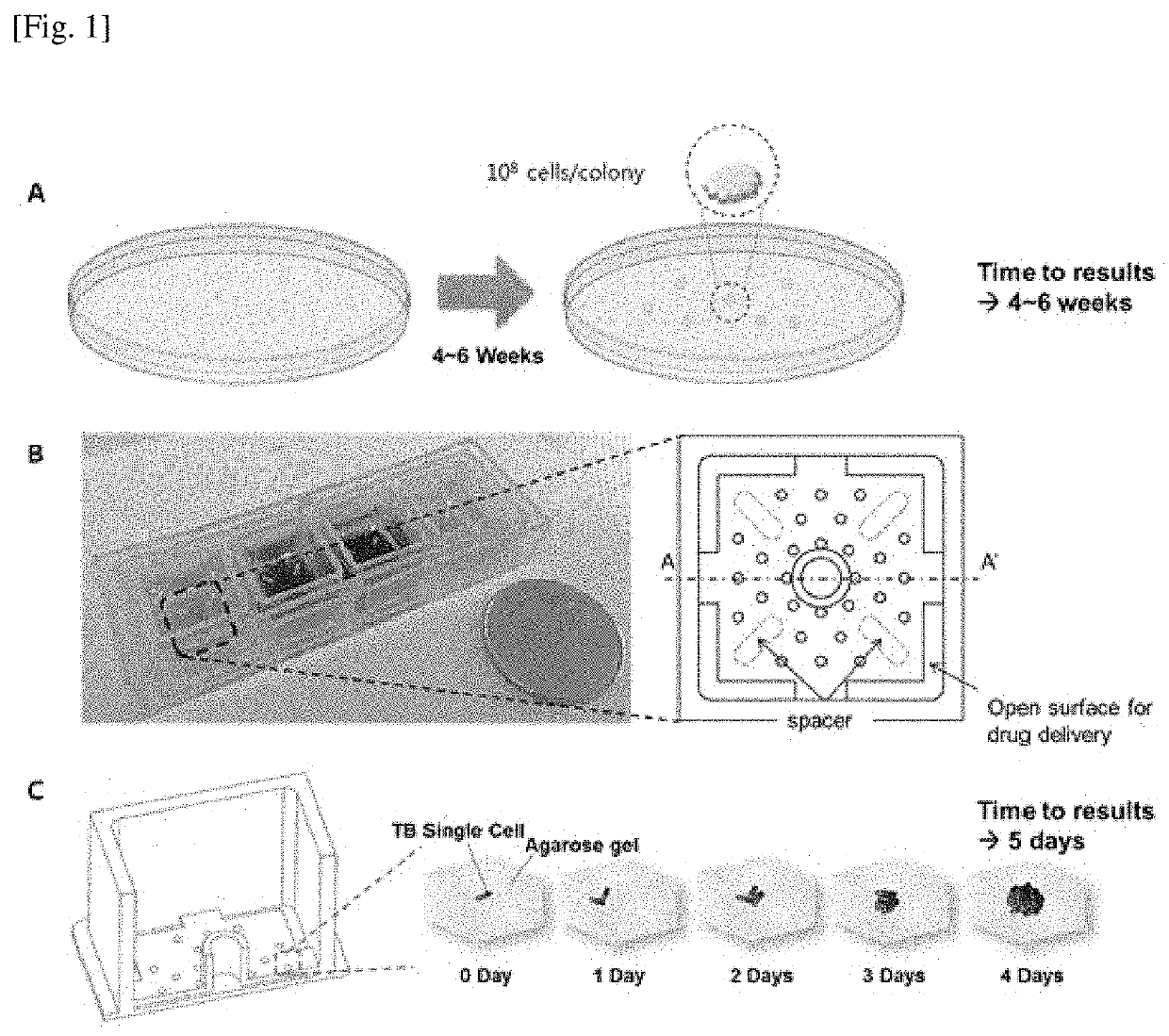 Bioactivity testing structure for single cell tracking using gelling agents