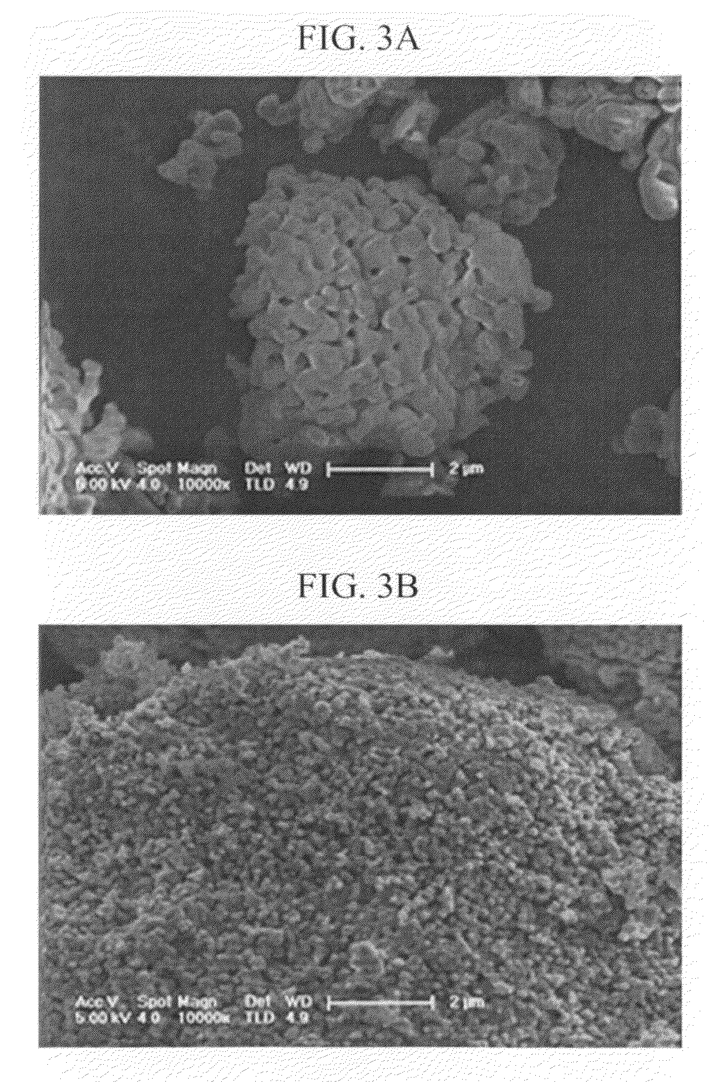 Negative active material for rechargeable lithium battery, method of preparing the same, and rechargeable lithium battery including the same
