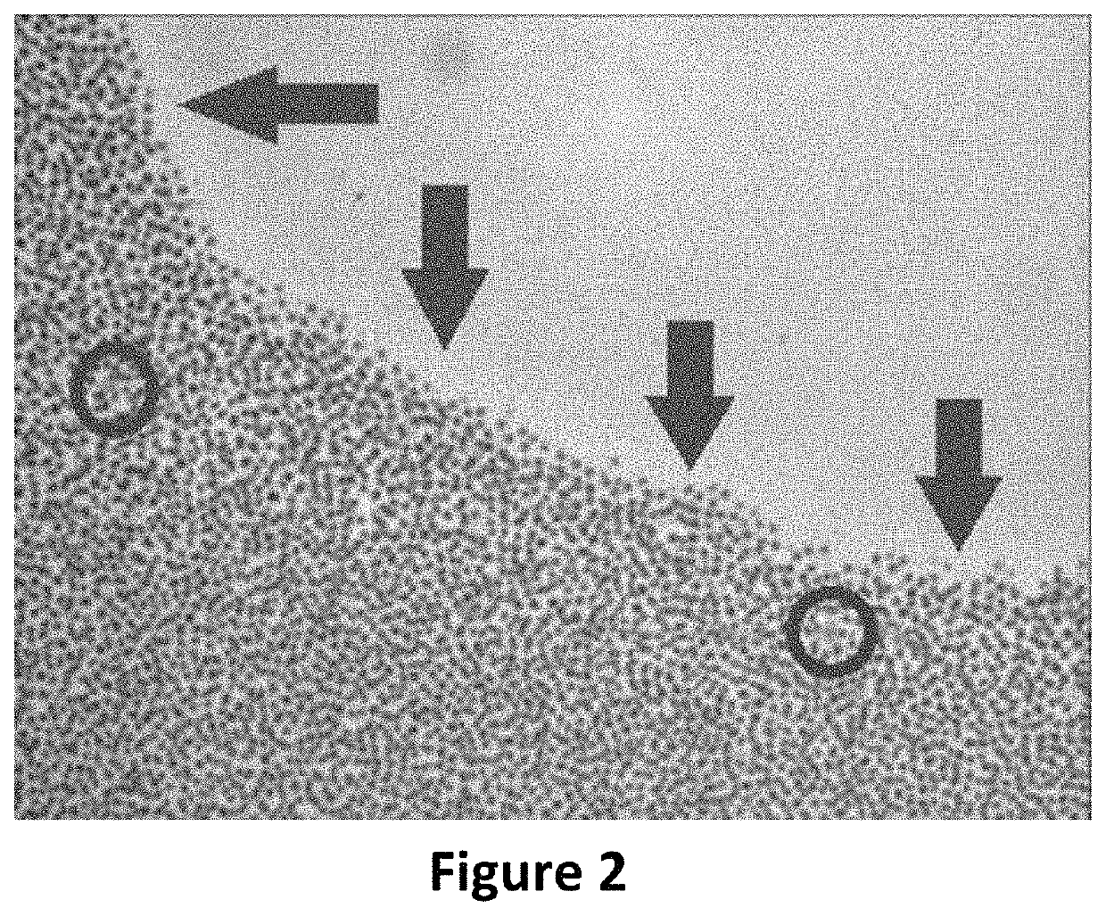 Method for the cryopreservation of high-viscosity biological samples