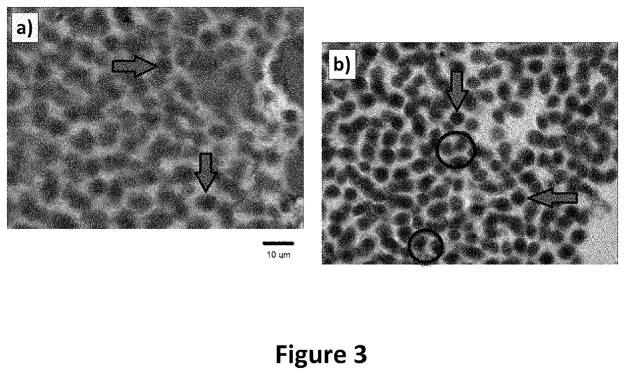 Method for the cryopreservation of high-viscosity biological samples