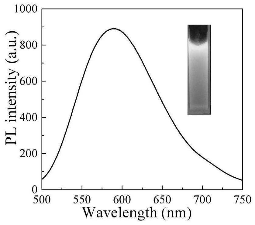 A kind of preparation method of the AIE polymer nanoparticle of carboxyl group and polypeptide modification