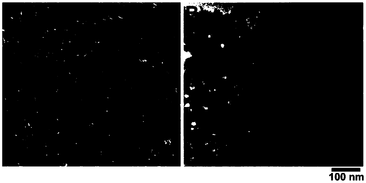 Rare-earth/nucleotide supermolecular assembly body-based mercury ion detection method