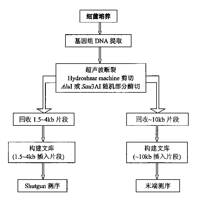 High temp ersistant triphosphate guanosine cyclohydrolase gene sequence and coded polypeptide and method for preparing said polypeptide