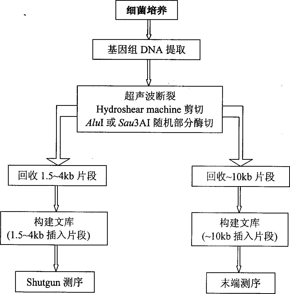 High temp ersistant triphosphate guanosine cyclohydrolase gene sequence and coded polypeptide and method for preparing said polypeptide