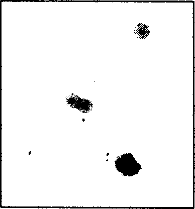 Method of purifying active virus