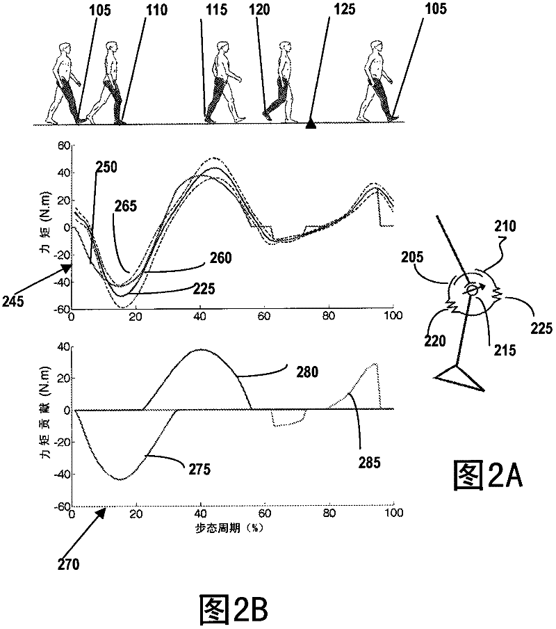 Powered artificial knee with agonist-antagonist actuation