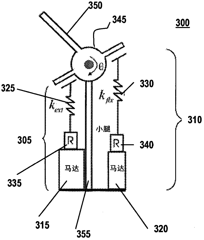Powered artificial knee with agonist-antagonist actuation