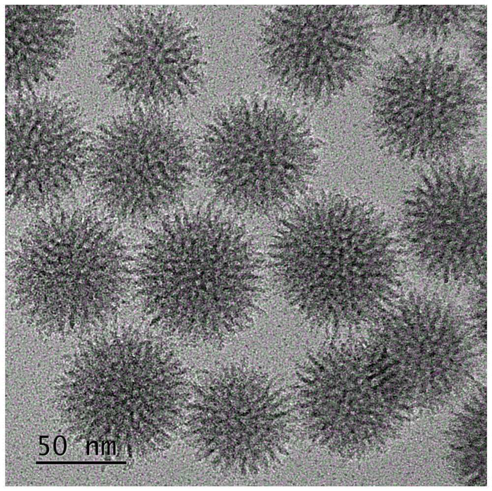 Multilevel porous/mesoporous organic silicon ball and preparation method thereof